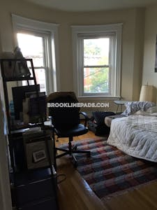 Brookline Apartment for rent 1 Bedroom 1 Bath  Washington Square - $2,200