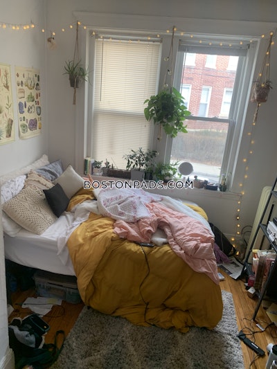 Allston 2 Bed 1 Bath BOSTON Boston - $2,600