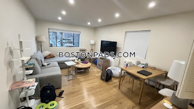 Brookline 1 Bed 1 Bath  Boston University - $2,698