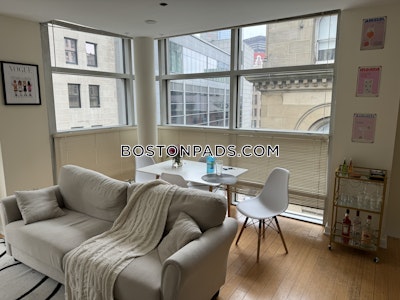 Downtown 1 Bed 1 Bath BOSTON Boston - $3,200