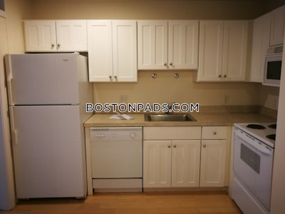 Downtown 1 Bed 1 Bath BOSTON Boston - $3,000