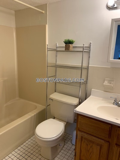 Allston 1 Bed 1 Bath BOSTON Boston - $2,600