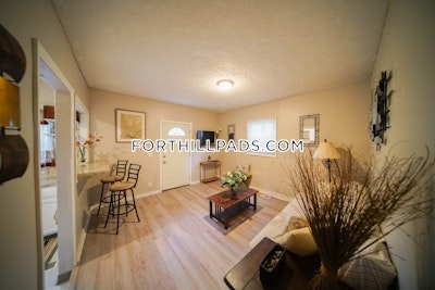 Fort Hill 1 Bed 1 Bath BOSTON Boston - $2,295