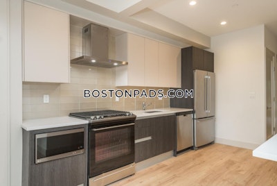 Mission Hill Apartment for rent 4 Bedrooms 2 Baths Boston - $7,250