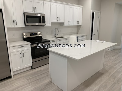 Downtown Apartment for rent 4 Bedrooms 2 Baths Boston - $8,500