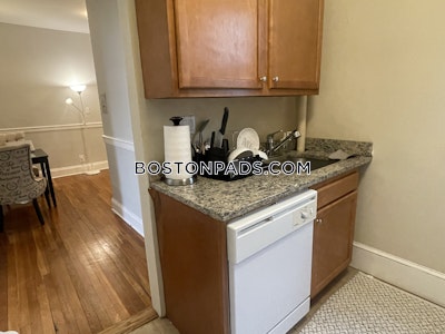 Allston Apartment for rent 1 Bedroom 1 Bath Boston - $2,850