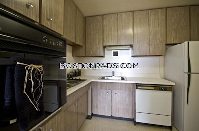 Brighton Apartment for rent Studio 1 Bath Boston - $2,200 No Fee