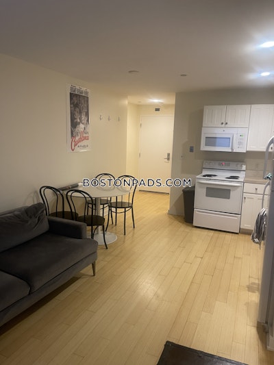 Downtown Apartment for rent 1 Bedroom 1 Bath Boston - $3,000