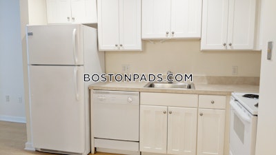 Downtown Apartment for rent 1 Bedroom 1 Bath Boston - $3,000